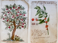 P1012802