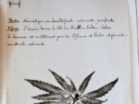 P1012807
