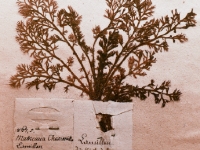 P1012808