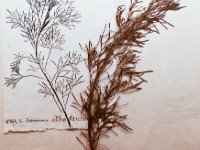 P1012810