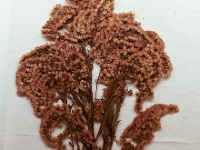 P1012811