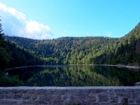 P9021061