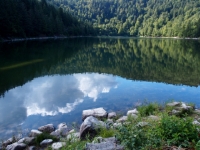 P9021064
