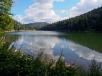 P9021089