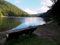 P9021093