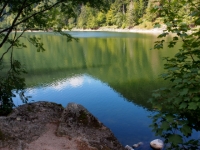 P9021098