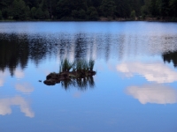 P9021106