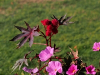 P9021138