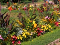 P9021145