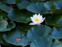 P9021207