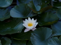 P9021209