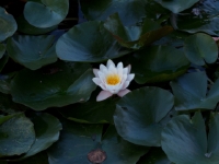 P9021210