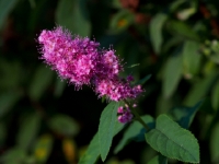 P9021212