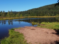 P9031219
