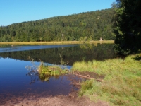 P9031220
