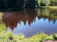 P9031222