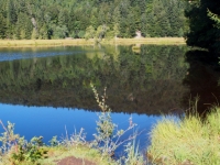 P9031223