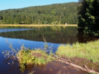 P9031224