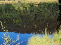 P9031225