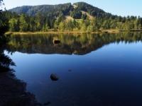 P9031226