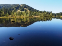 P9031227