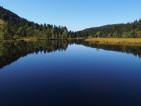 P9031228