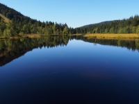 P9031229