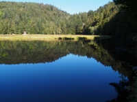 P9031230