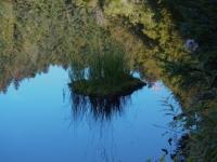 P9031234