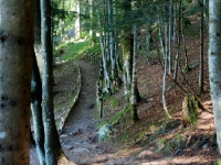 P9031237