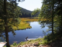 P9031255