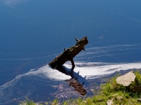 P9031257