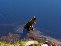 P9031265