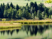 P9031274