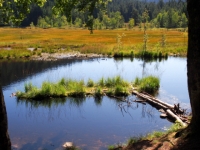P9031275