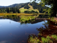 P9031281