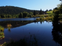 P9031288