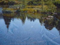 P9031303