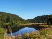 P9031314