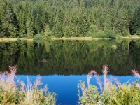 P9031316