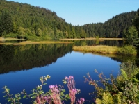 P9031318