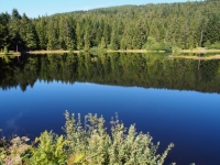 P9031319