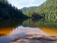 P9031322