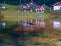 P9031330