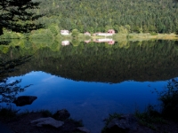 P9031339