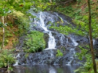 P9031348