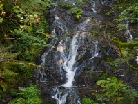 P9031352