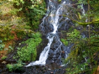 P9031354