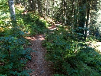 P9041398