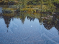 P9031303